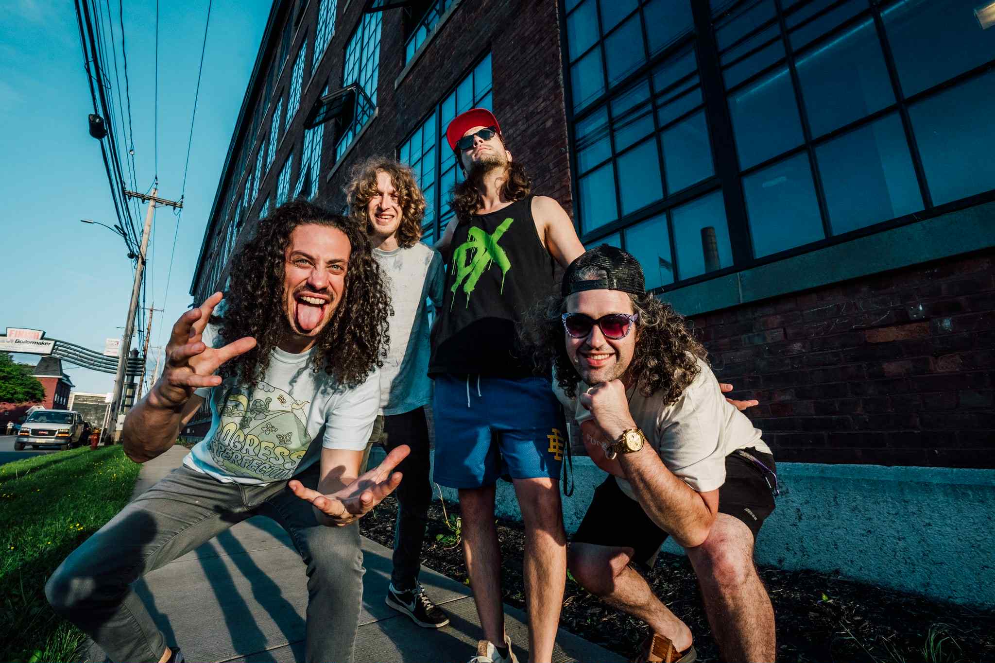 Pigeons Playing Ping Pong