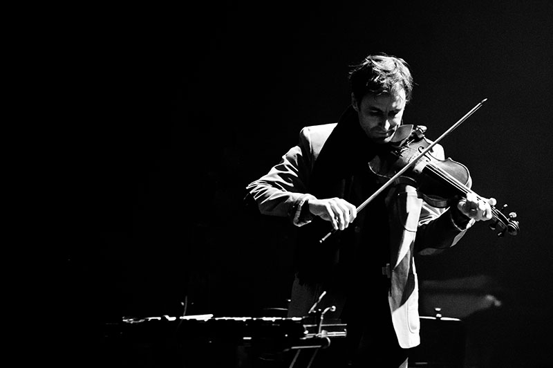 Andrew Bird